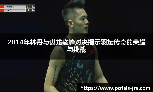 2014年林丹与谌龙巅峰对决揭示羽坛传奇的荣耀与挑战