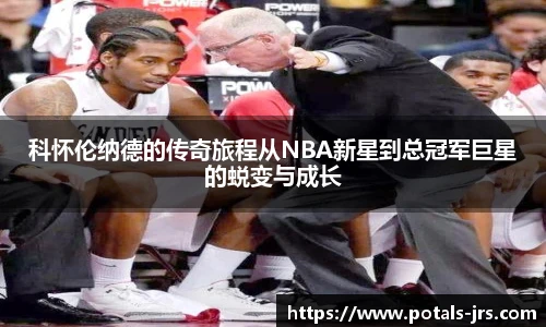 jrs直播低调看直播